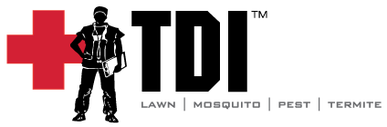 TDI Services Logo